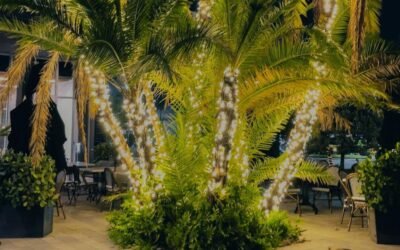 Lighten up your garden area fantastically!